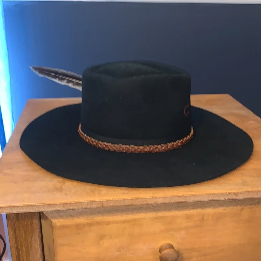 Charlie 1 Horse Ambush Felt Hat - Picture 3 of 8